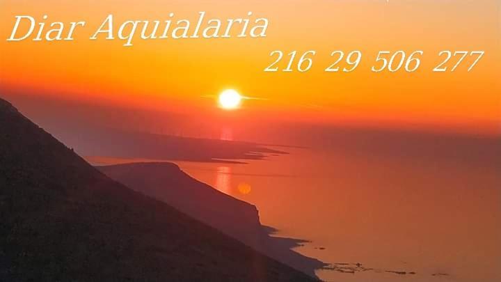 الهوارية Residence Aquilaria Dar Narjes المظهر الخارجي الصورة